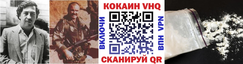 Купить где  Зарайск  COCAIN Fish Scale 