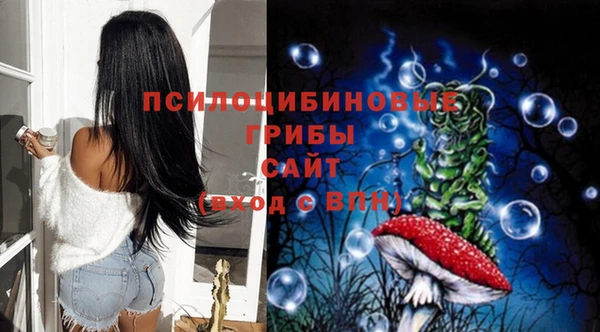 мдпв Карталы