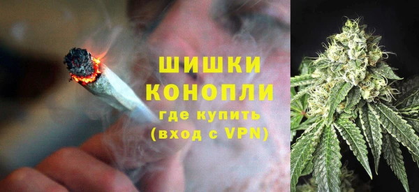 jwh Карпинск