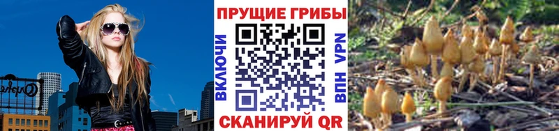 Псилоцибиновые грибы GOLDEN TEACHER  Купить  Зарайск 